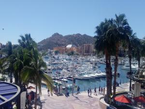 Puzzling Adventures Cabo San Lucas